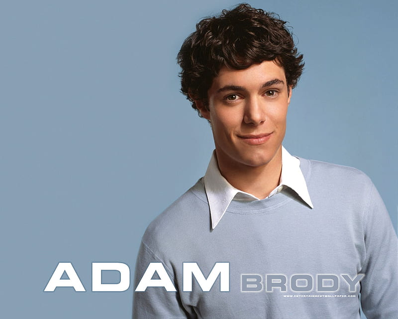 Adam Brody, actor, HD wallpaper