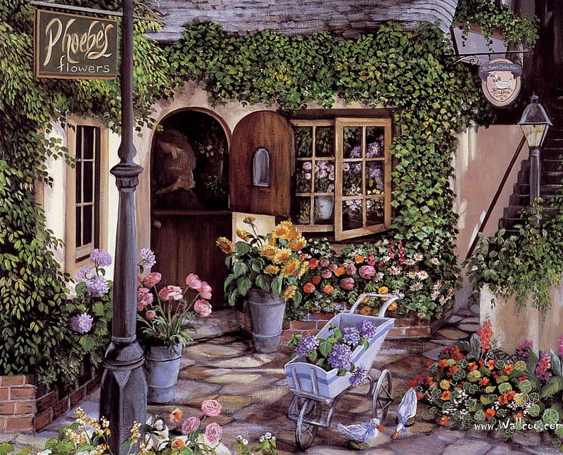 Phoebes Flower Shop, Allentown, Pennsylvania, architecture, window, houses, colors, sign, metal, stone, sidewalk, bush, vien, flowers, nature, wood, HD wallpaper