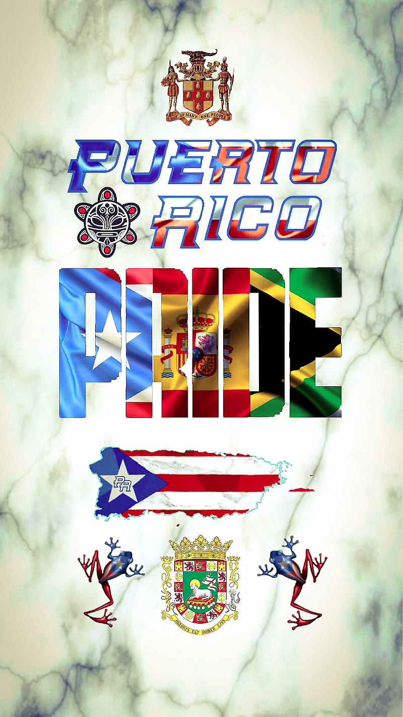 Puerto Rico, africa flag, boricua, borinquen, coat of arms, coqui, isla, island, puerto rico flag, spain flag, taino, HD phone wallpaper