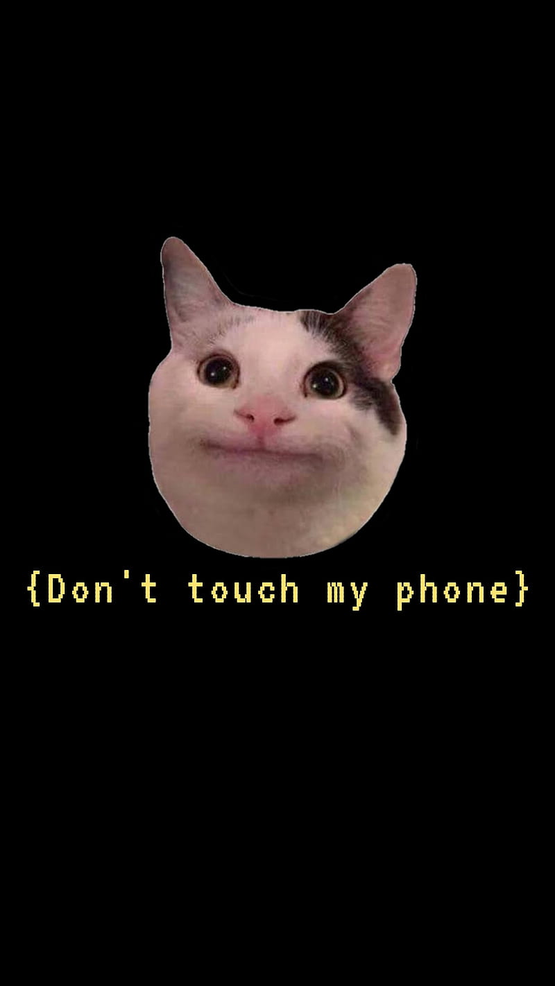 Cat man face roblox, funny HD phone wallpaper