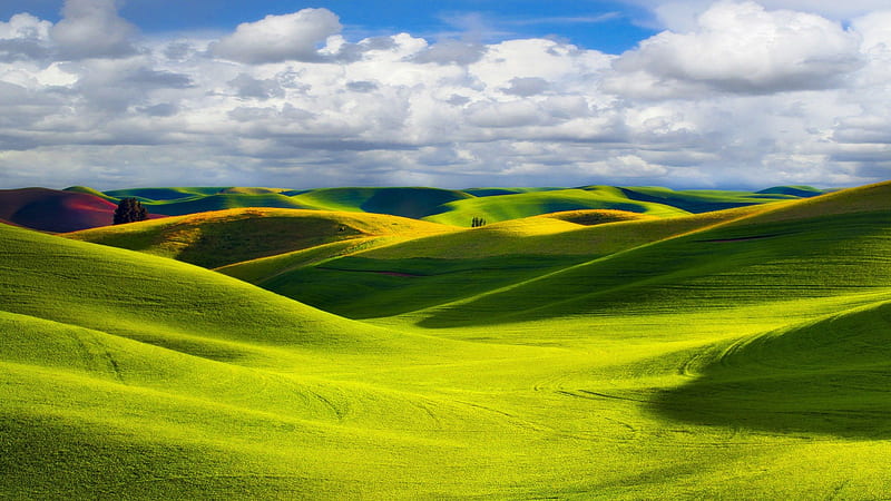 Nature, grass, sky, field, landscape, HD wallpaper