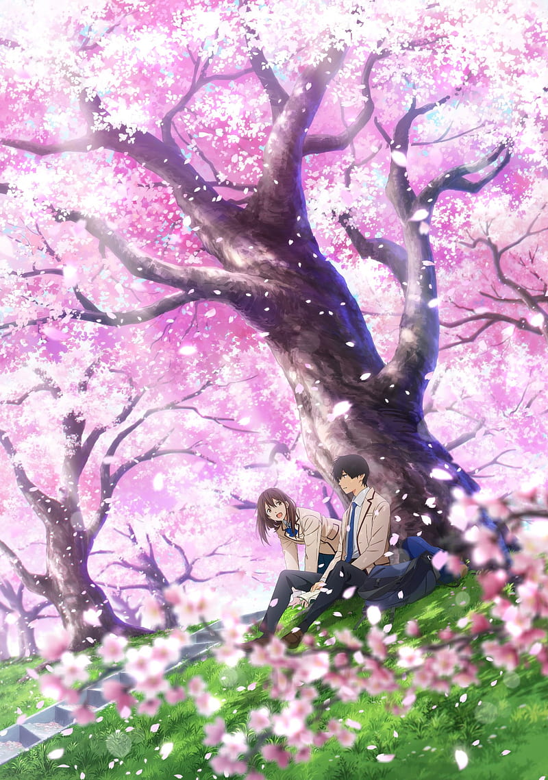 Eat Your Pancreas, anime, blossom, eat, pancreas, to want, your, HD phone  wallpaper | Peakpx