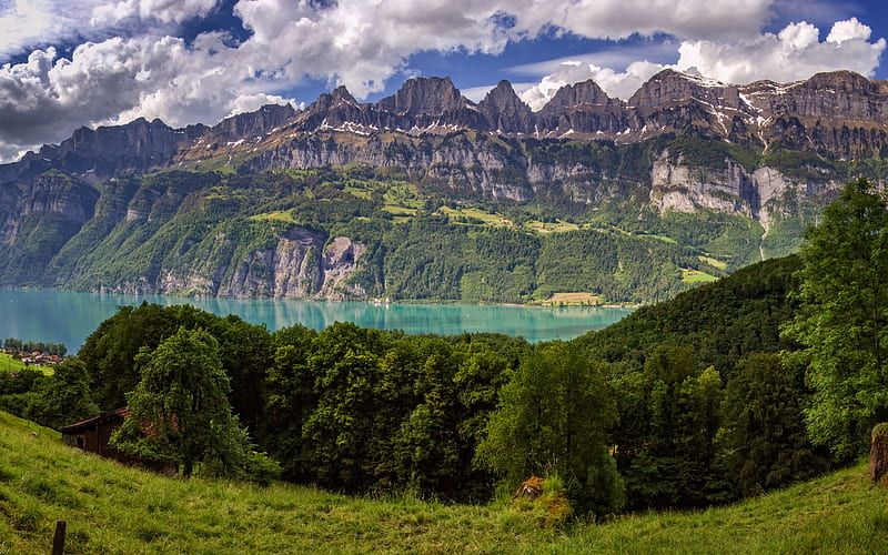Lake Walen mountains, Alps, summer, Walensee, Swiss Alps, Europe, Switzerland, HD wallpaper
