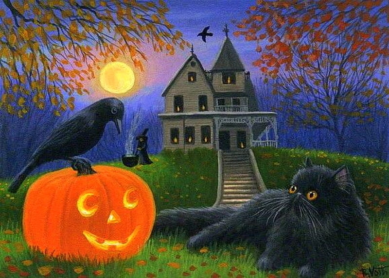 Cute Halloween, moons, cute, holiday, halloween, pumpkin, black cat ...