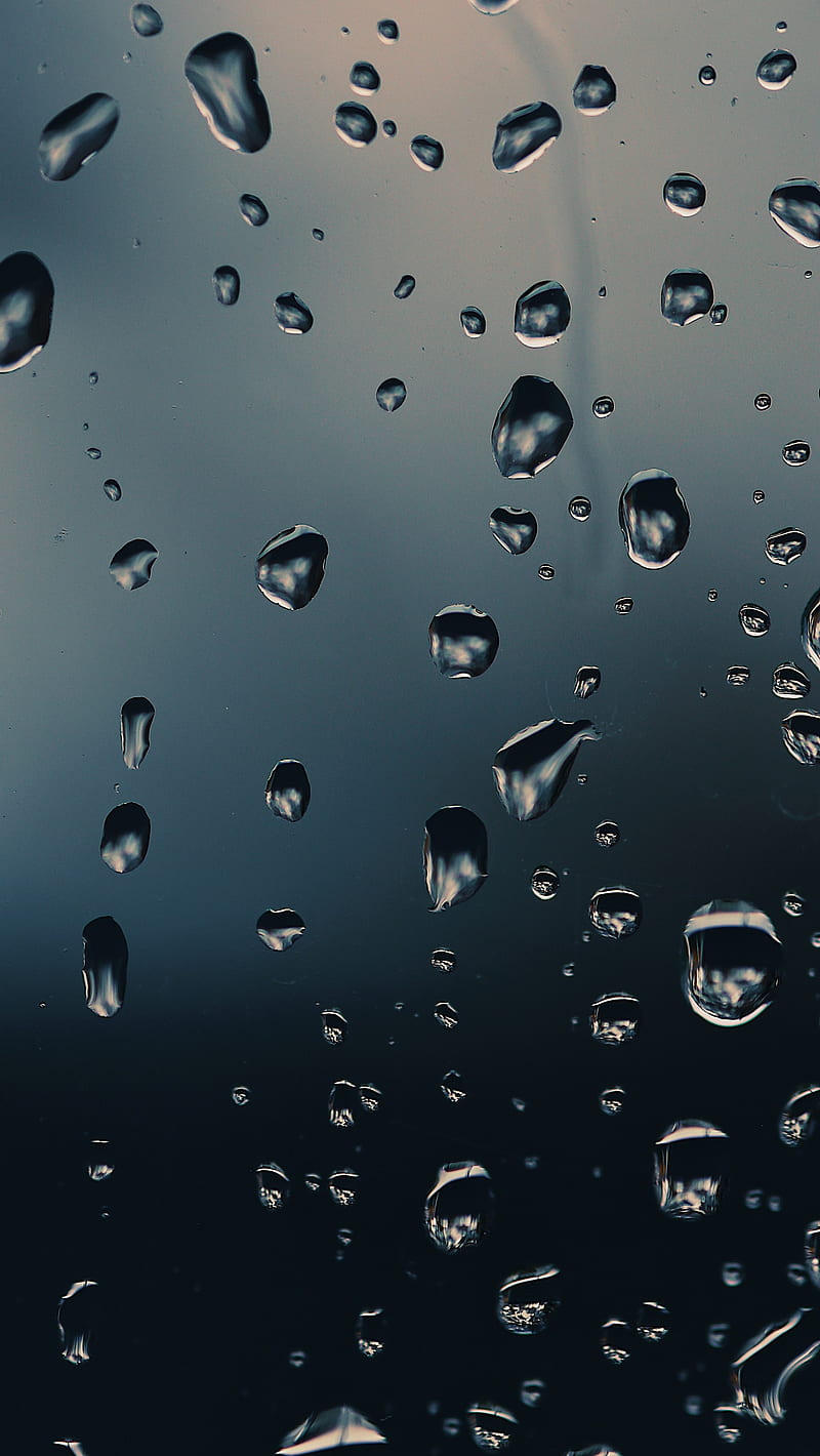 Clarity, The, beauty, detail, droplets, liquid, macro, graphy, rain, raindrops, sharp, water, wet, HD phone wallpaper