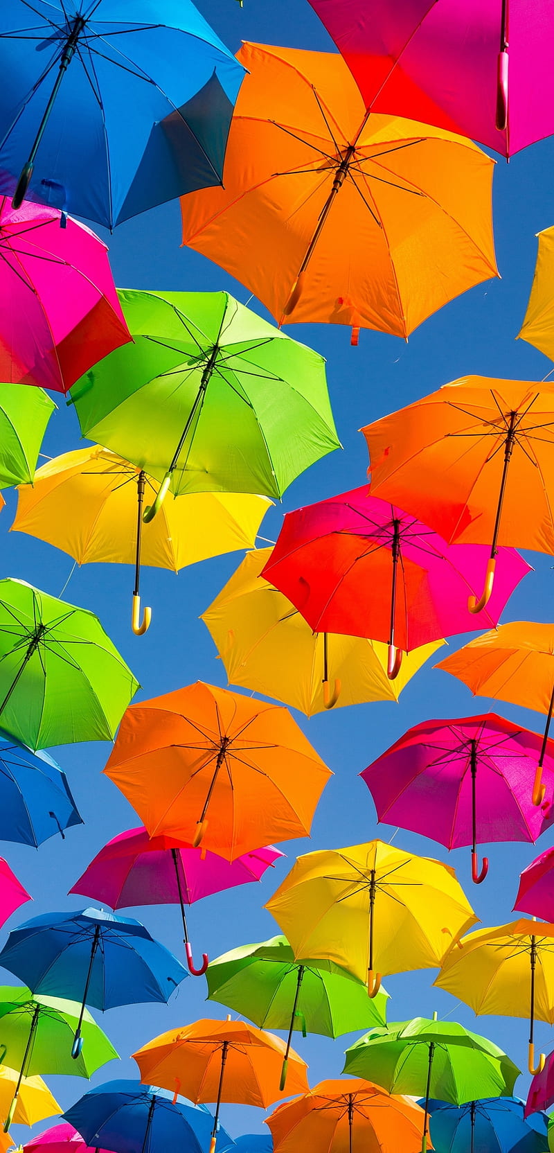 Colorful Umbrellas, 2019, 2020, colors, latest, umbrella, HD phone wallpaper