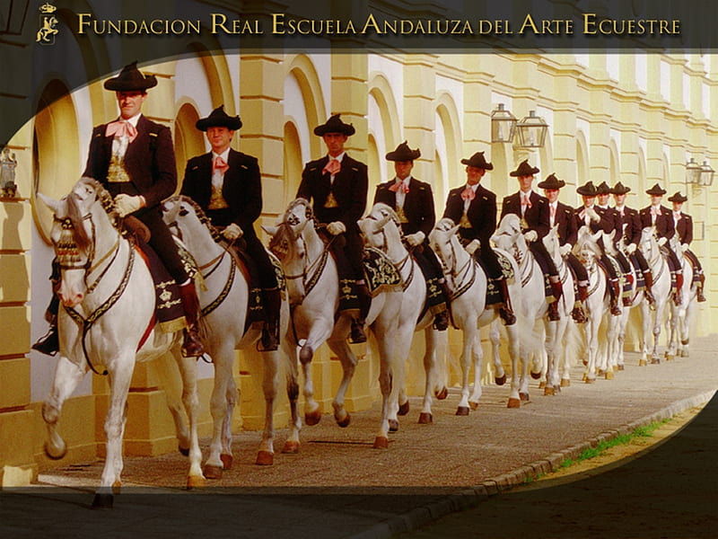 Perfect Coordination, andalucia, riders, jerez de la frontera, andalusian, royal school, horses, spanish, spain, HD wallpaper