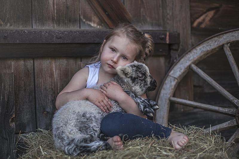Little girl, pretty, adorable, sightly, sweet, nice love, beauty, face, child, bonny, lovely, pure, blonde, baby, sheep, cute, sit, feet, white, Hair, little, Nexus, bonito, dainty, animal, kid, graphy, fair, people, pink, Belle, comely, girl, childhood, HD wallpaper