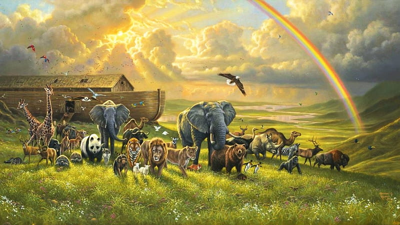 All Animal Togather, rainbows, togatherness, jungle, sunshine, animals, HD  wallpaper | Peakpx
