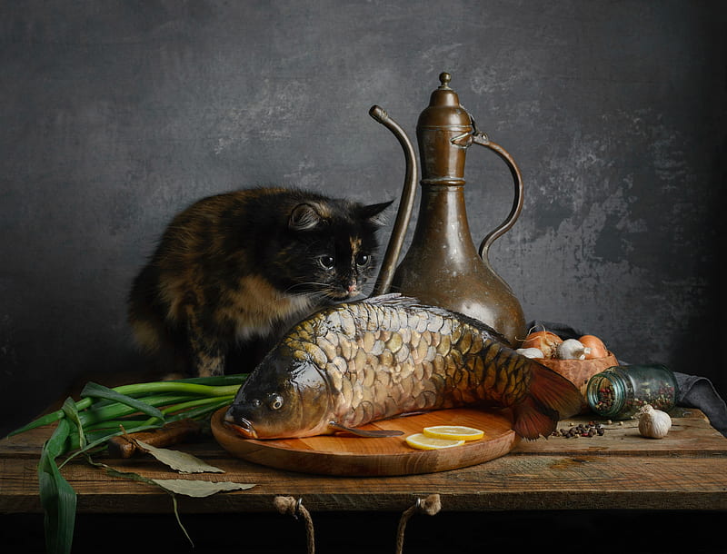 Cats, Cat, Fish, Pet, HD wallpaper