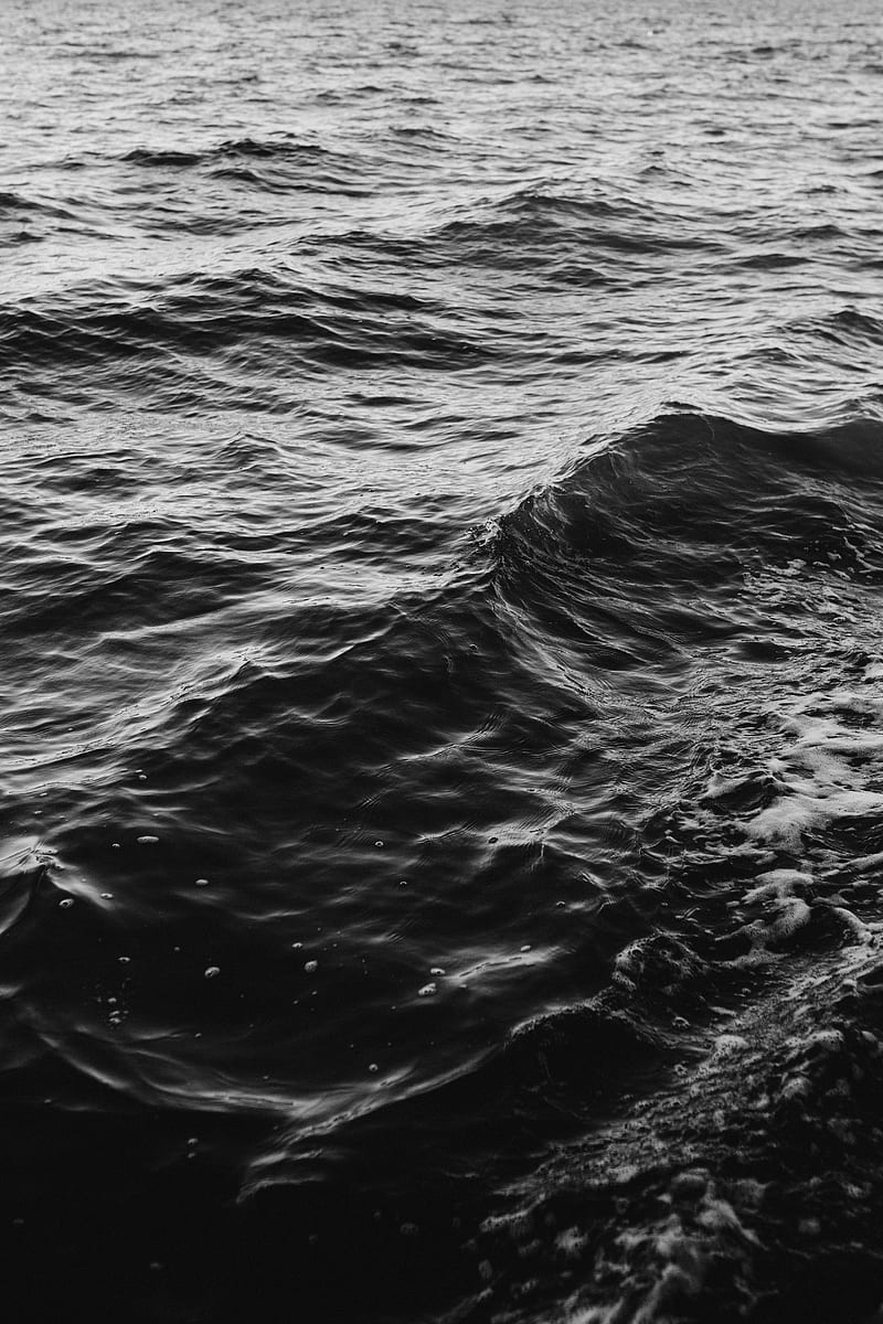 Grayscale of Body of Water, HD phone wallpaper