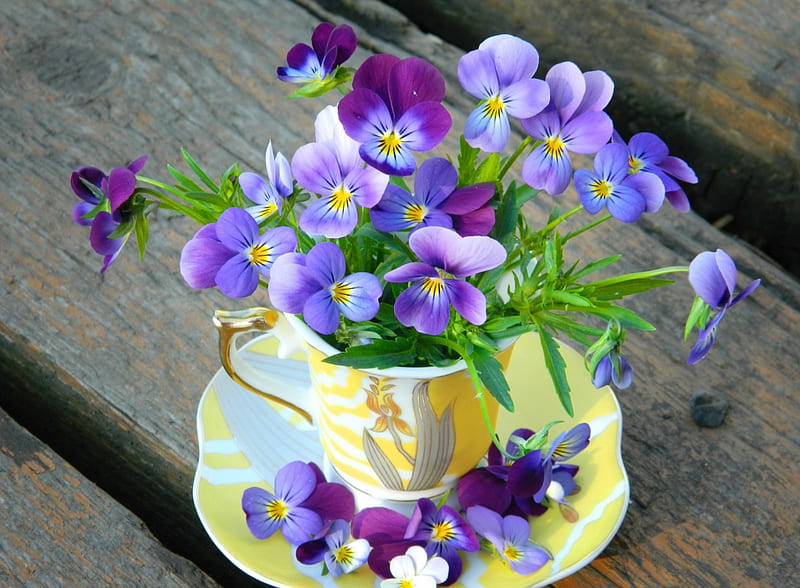 Bouquet of pansies, pretty, lovely, violets, bonito, delicate, tea, coffee, bouquet, pansies, cup, harmony, HD wallpaper