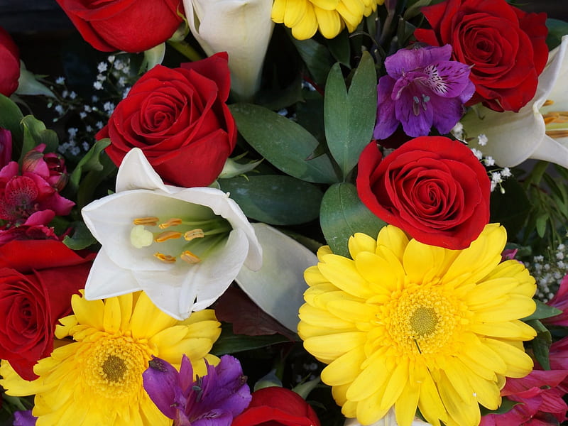 Beautiful Bouquet, rose, bouquet, gerbera, flowers, nature, tulip, HD wallpaper