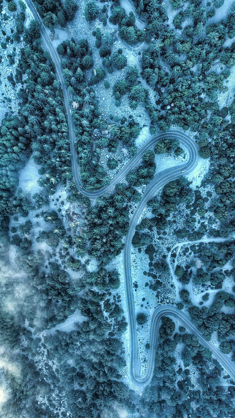 road, aerial view, winding, trees, treetops, HD phone wallpaper