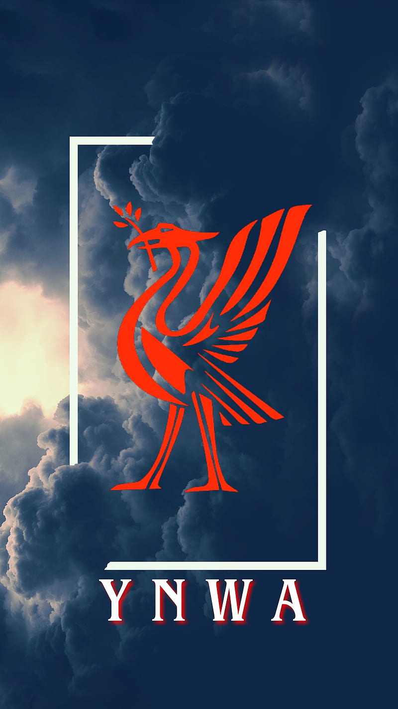 Liverpool YNWA, anfield, epl, football, lfc, liverpool, red, soccer, ynwa, HD phone wallpaper