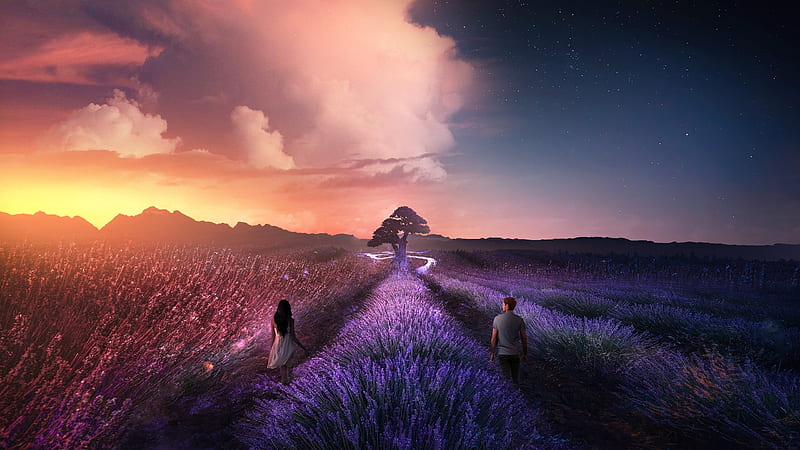 Lavender Rendezvous, sunset, man, woman, field, sky, HD wallpaper