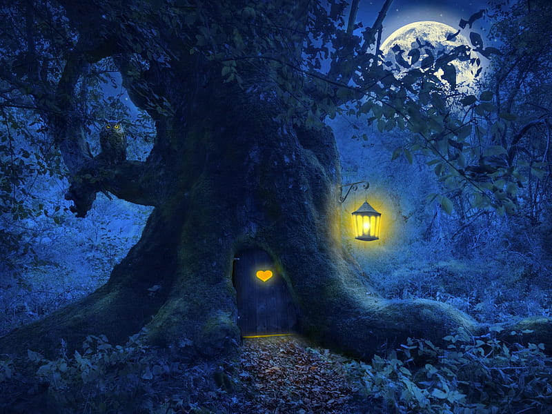 Tree home in the magic forest, owl, forest, lantern, woods, dusk, bonito, magic, mystic, tree, fantasy, moon, moonlight, branches, enchanted, light, night, HD wallpaper