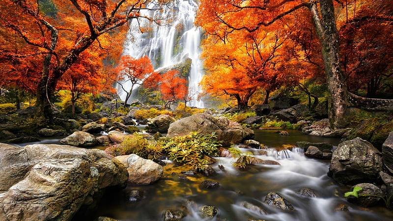 Waterfalls On Mountains And Waterstream Between Rocks Surrounded By Red Yellow Autumn Leafed Trees Forest Nature, HD wallpaper