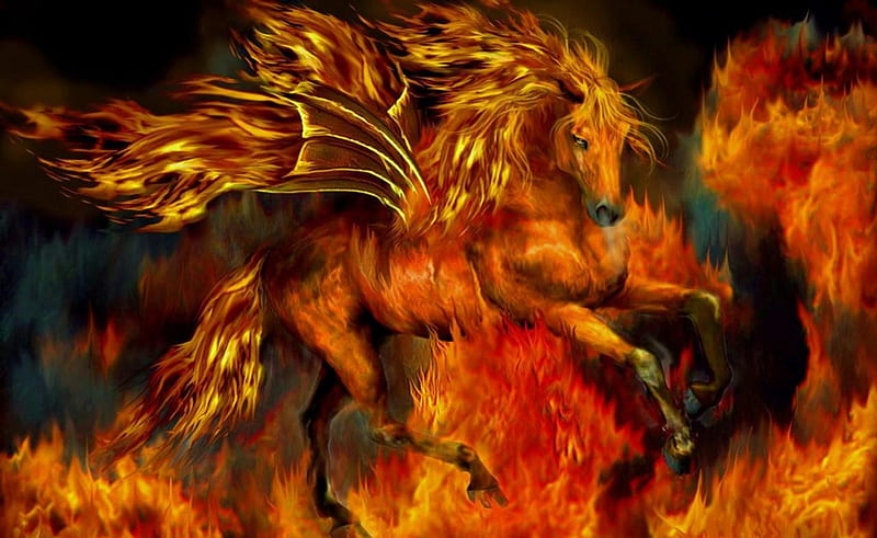 flaming steed, stallion, fire, flams, horse, HD wallpaper