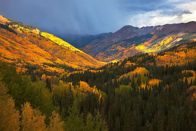 Storm at Aspen Forest, fall, colorado, usa, mountains, colors, trees, valley, HD wallpaper
