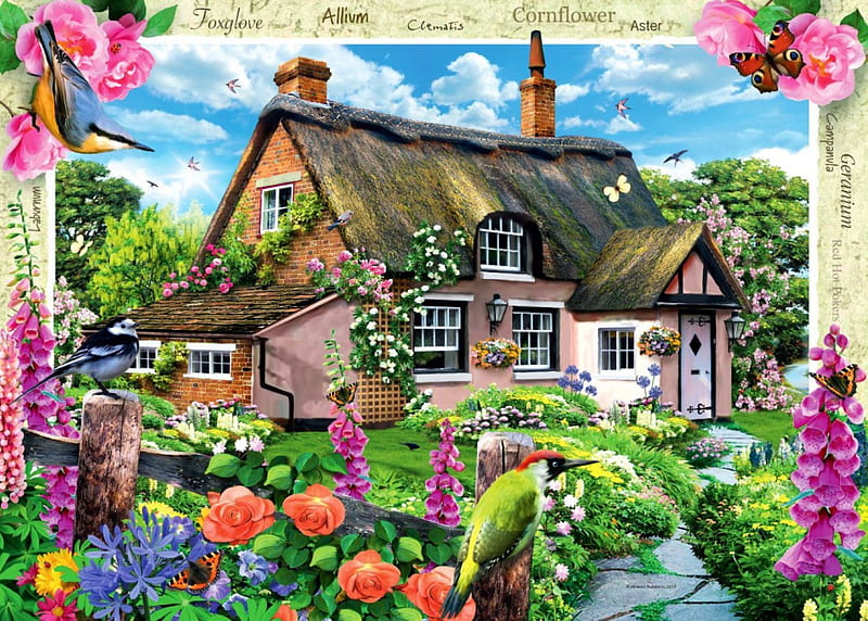 Foxglove Cottage, birds, flowers, blossoms, garden, artwork, HD wallpaper