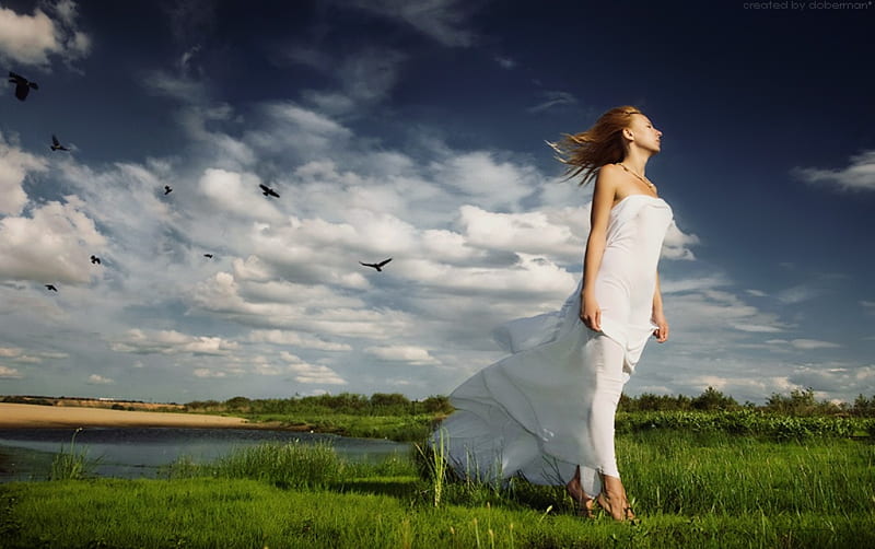 Come back, grass, clouds, begging, love, beauty, beautiful girl, pleading, feeling, sadness, birds, lonely, sky, lake, missing, alone, girl, waiting, dreaming, lonely girl, nature, white dress, HD wallpaper