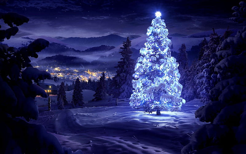 Christmas tree New Year, forest, winter, Christmas, Merry christmas, Happy New Year, xmas tree, HD wallpaper