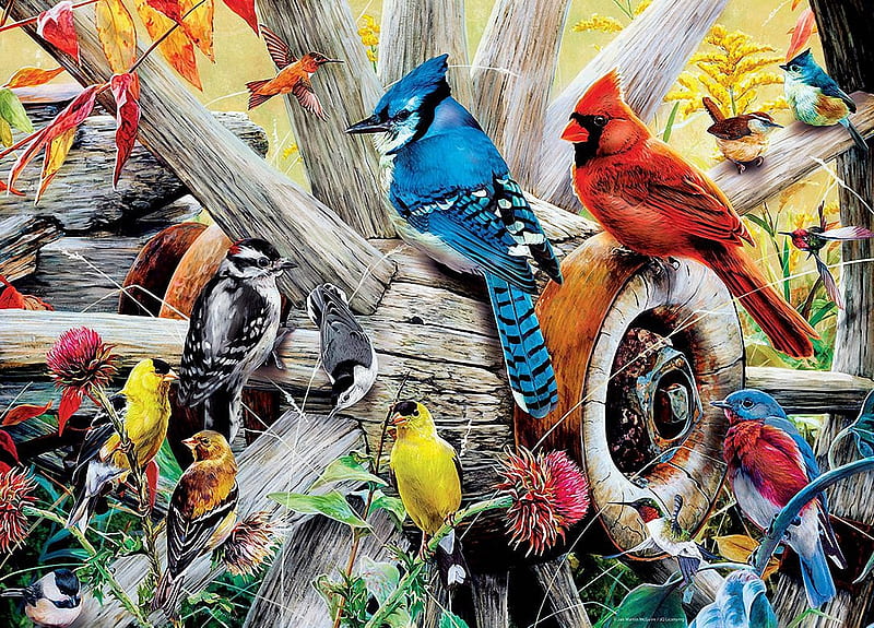 Backyard Birds, artwork, cardinal, hummingbirds, bluejay, painting, goldfinch, bluebird, HD wallpaper
