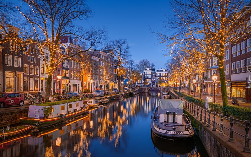 Christmas in Amsterdam, canal, Netherlands, Christmas, houses, Amsterdam, trees, lights, HD wallpaper