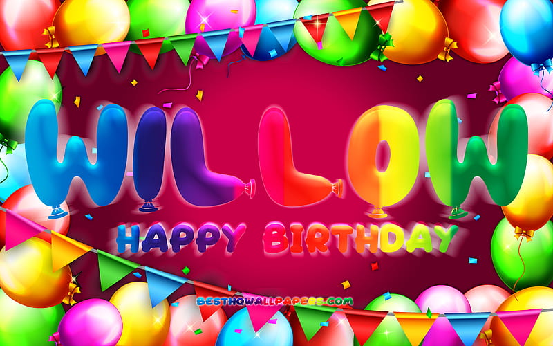 Happy Birtay Willow colorful balloon frame, Willow name, purple background, Willow Happy Birtay, Willow Birtay, popular american female names, Birtay concept, Willow, HD wallpaper