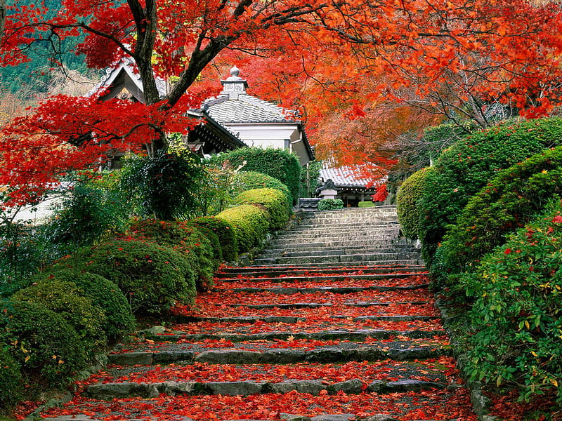 Fall In Eastern Heaven Garden, fall, fourseason, stair, east countries, HD wallpaper