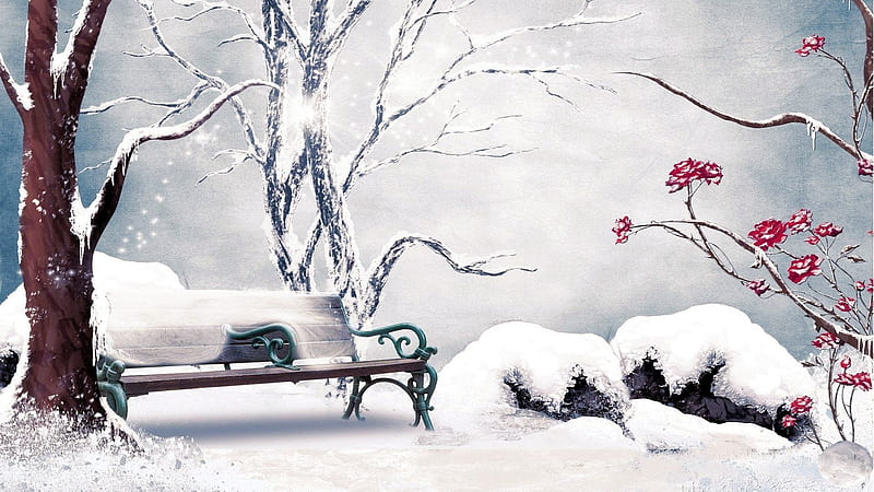 Snow and Roses, blossoms, flowers, bench, season, HD wallpaper