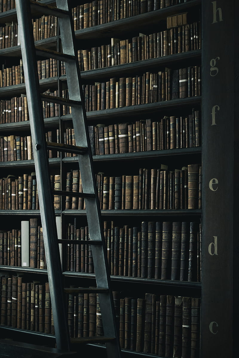 library shelf near black wooden ladder, HD phone wallpaper