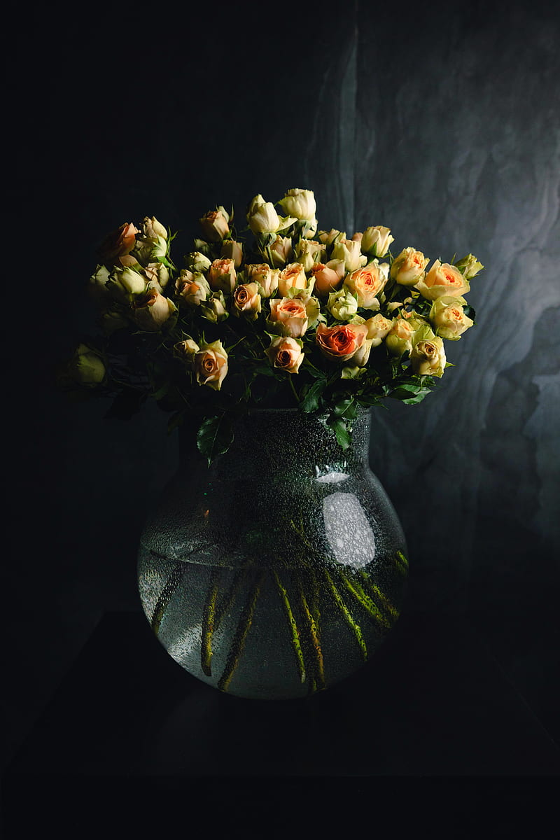 roses, flowers, bouquet, vase, dark, HD phone wallpaper