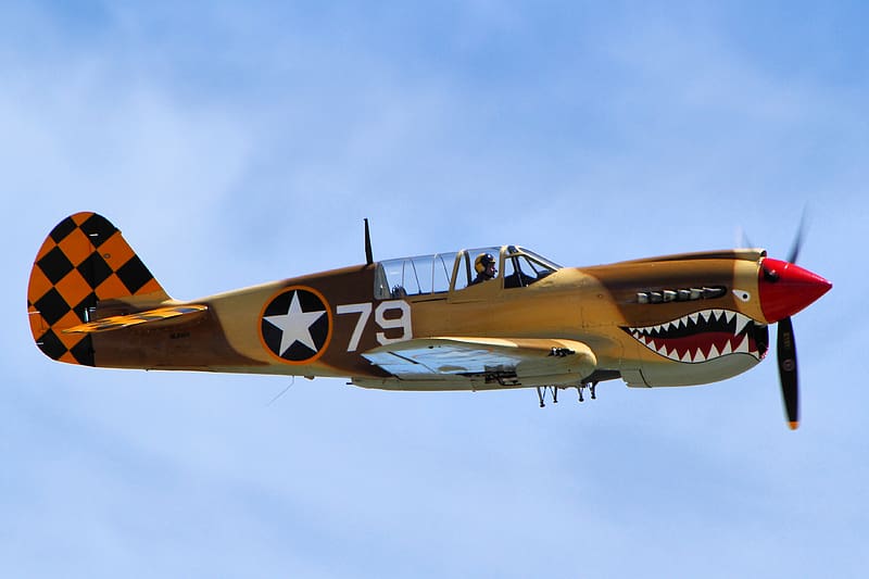 Aircraft, Military, Curtiss P 40 Warhawk, World War Ii, Military Aircraft, HD wallpaper