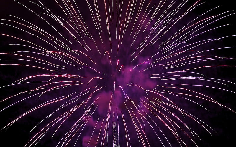 purple fireworks, night sky, holiday, festival, fireworks, HD wallpaper