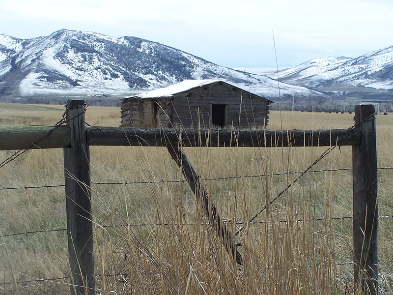 Standing Alone, fence, dry grass, house, homestead, snow, mountains, HD wallpaper