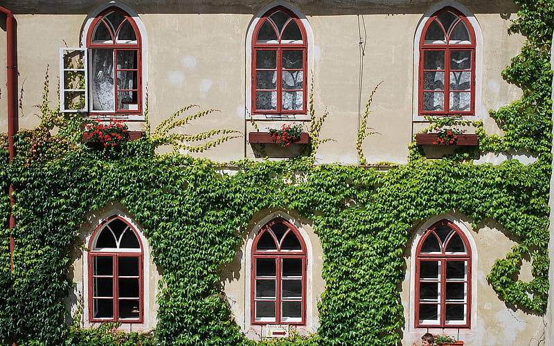 Neogothic Windows, windows, house, green, Czech Republic, old, HD wallpaper