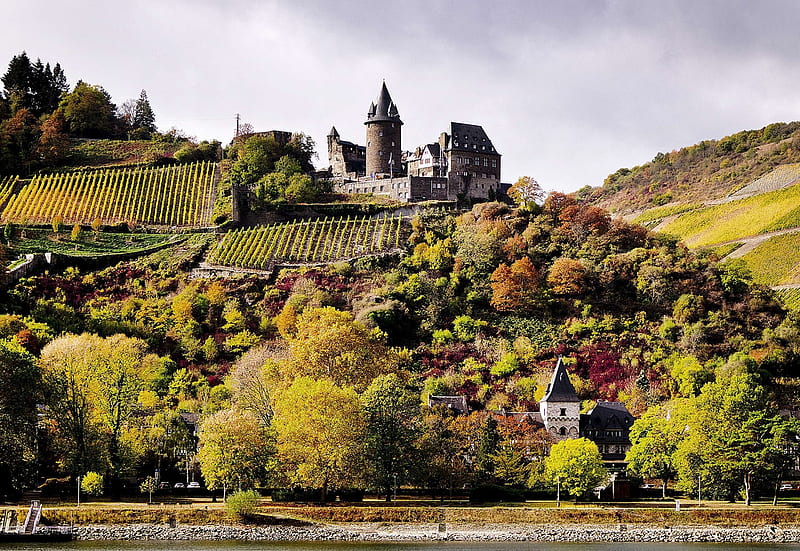 Stahleck Castle, Rhine River, Vineyard, Bacharach, Trees, 24 October 2018, Germany, HD wallpaper