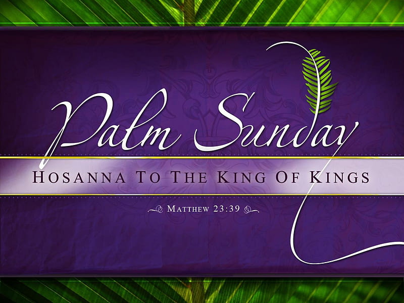 HD palm sunday wallpapers | Peakpx