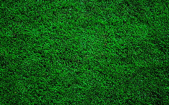 grass top view wallpaper hd
