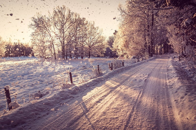 Winter road, pretty, house, cabin, magic, snowy, countryside, nice, village, kindness, lovely, holiday, christmas, new year, park, sky, trees, mood, winter, alleys, snow, ice, care, roe, fence, little, cottage, meet, home, bonito, cold, deer, painting, road, light, frost, forest, yard, tree, girl, warmth, snowflakes, frozen, HD wallpaper