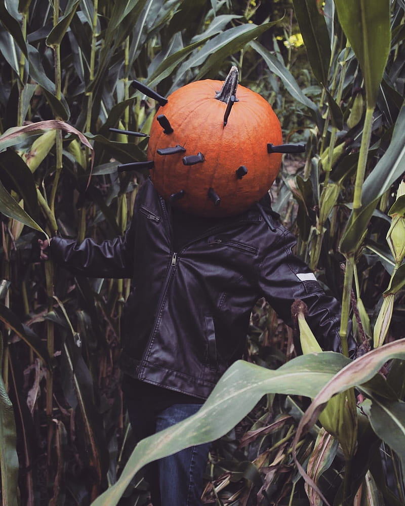 Pumpkin Man, fall, favorites, halloween, human, man, monster, orange, pumpkin, scary, spooky, HD phone wallpaper