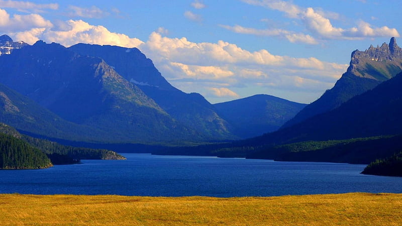 waterton national park alberta, forest, grass, mountains, clouds, lake, HD wallpaper