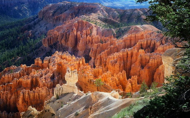 Bryce Canyon, orange rocks, canyon, sandy rocks, Utah, USA, Bryce Canyon National Park, HD wallpaper
