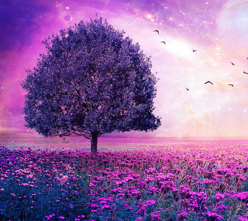 Purple Haze, field, haze, landscape, nature, purple, HD wallpaper