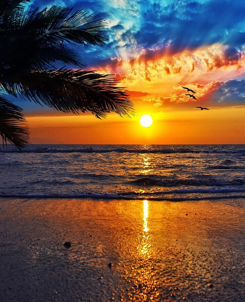 Sunset, note, sun, sunset beach, HD phone wallpaper