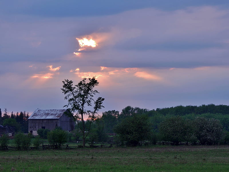 Old Barn In The Field, Trees, Sky, Clouds, Field, graphy, Old Barn, Fence, Nature, HD wallpaper