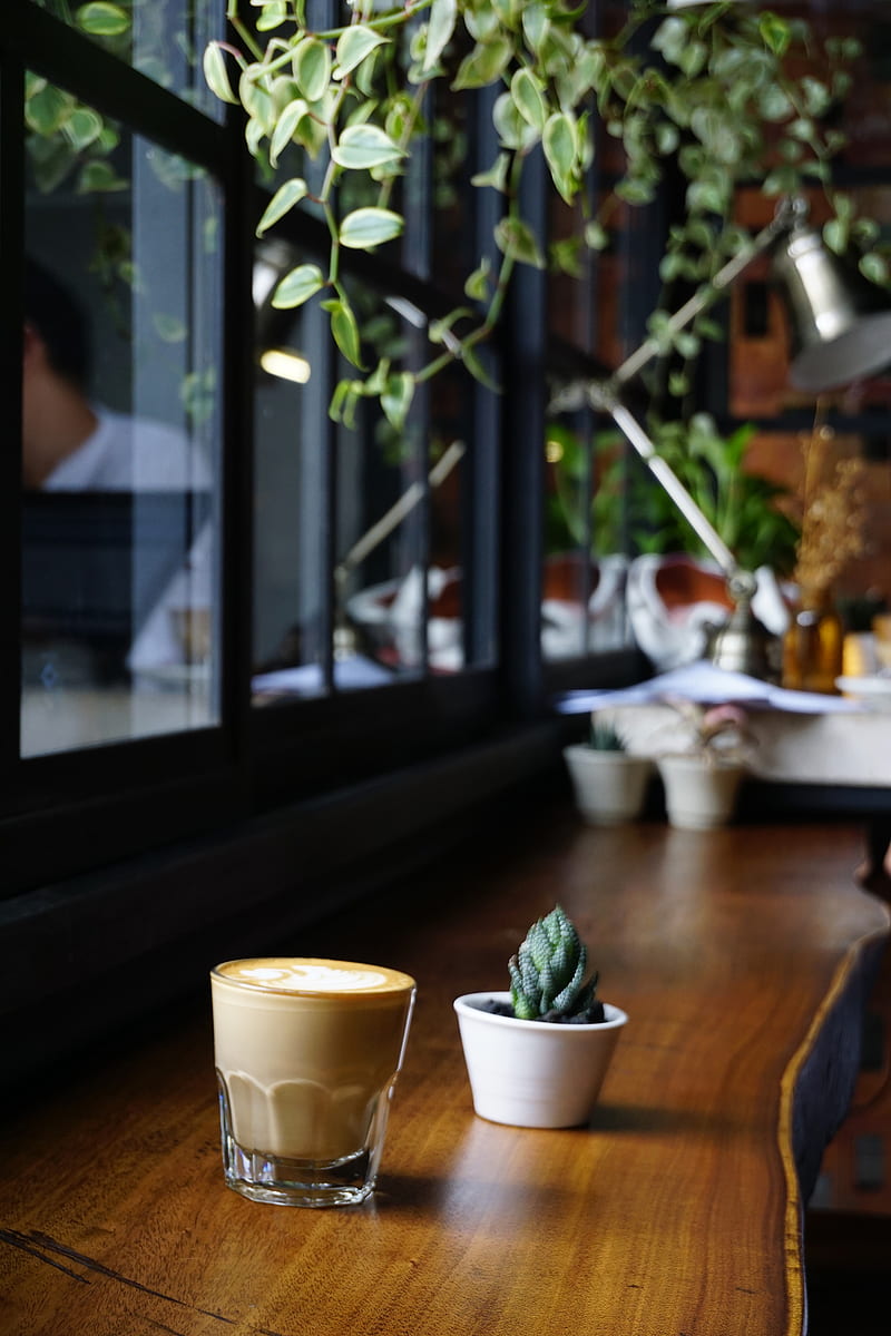 latte and cactus on brown wooden table, HD phone wallpaper