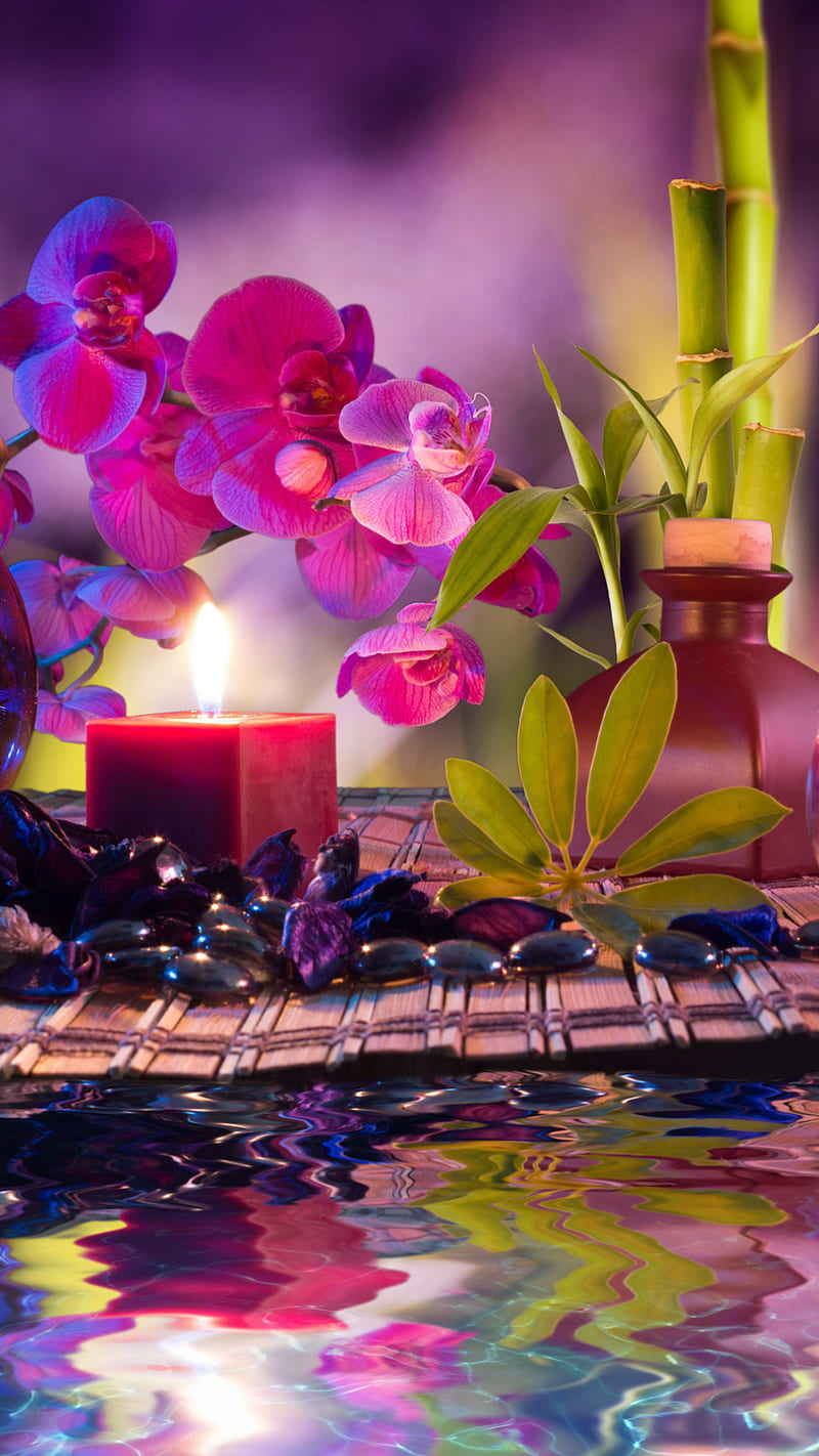 Nature, bamboo, candle, flowers, light, reflection, water, HD phone wallpaper